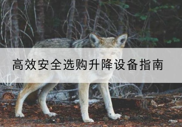 天水升降货梯厂家推荐-*安全选购升降设备指南