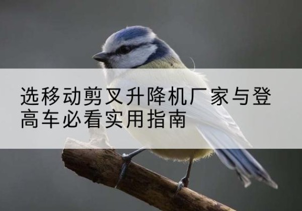 天水电动升降机厂家-选移动剪叉升降机厂家与登高车必看实用指南