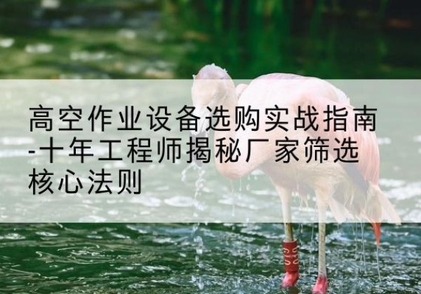 天水剪叉式升降机厂家-高空作业设备选购实战指南-十年工程师揭秘厂家筛选核心法则